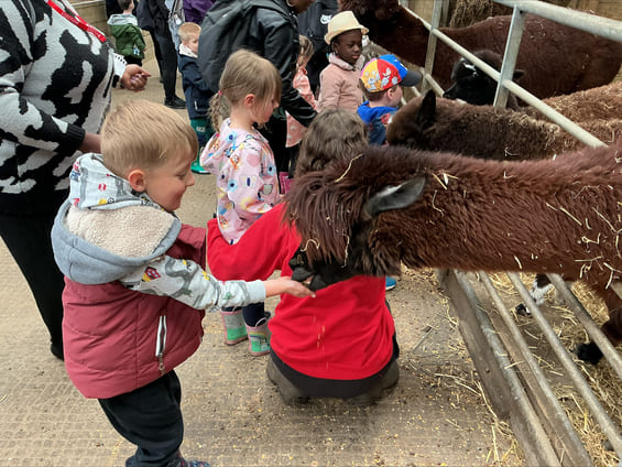 Smithills Farm - May 2026
